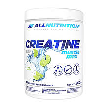 Allnutrition Creatine Muscle Max (500 g, cola)