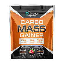 Carbo Mass Gainer (4 kg, forest fruits)