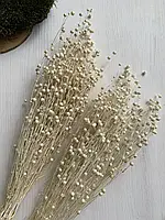 Вибілений льон , сухоцвіт 1 шт.