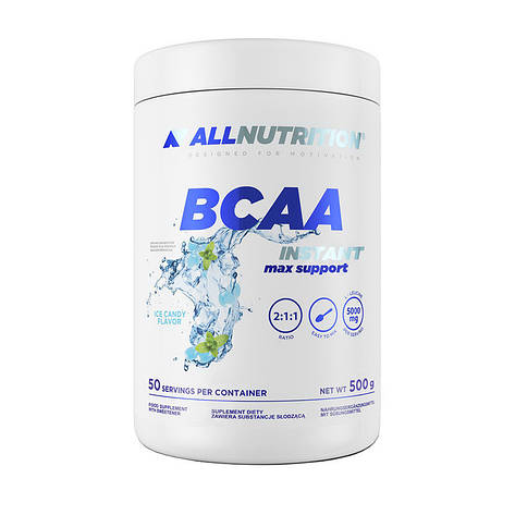 BCAA Instant Max Support (500 g, orange), фото 1