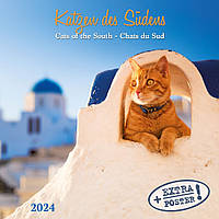 Настенный календарь 2024 год. Cats of the South