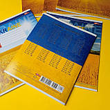 Зошит у клітинку,18 аркушів, кольорова обкладинка, LEADER, фото 3