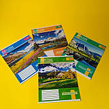 Зошит у клітинку,18 аркушів, кольорова обкладинка, LEADER, фото 2