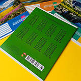 Зошит у клітинку,18 аркушів, кольорова обкладинка, LEADER, фото 4