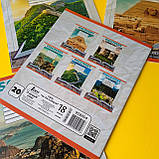 Зошит в лінію 18 аркушів кольорова обкладинка, LEADER | з малюнком природа, фото 4