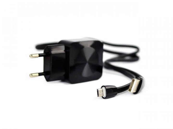 Мережевий зарядний пристрій Aspor F13C Carbon Series 2.1A/2USB + USB кабель Type-C- чорний