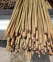 Бамбукова опора L 1,2 м д.10 мм.палка, стовбур для підв'язки рослин