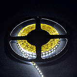 Світлодіодна стрічка Venom SMD 3528 120д.м. негерметична (IP33) Premium 5 м. Нейтрально-білий, фото 2