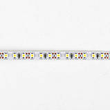 Світлодіодна стрічка Venom SMD 3528 120д.м. негерметична (IP33) Premium 5 м. Нейтрально-білий, фото 4