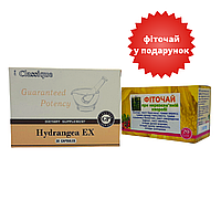 Набор Гортензия Сантегра + Фиточай При мочекаменной болезни (Hydrangea EX) Santegra 1,5 гр 20 фильтр-пакетов