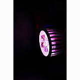 Світлодіодна фітолампа Venom 10 W SMD5730 220 В (FL-P-010W-10), фото 2