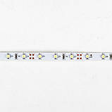 Світлодіодна стрічка Venom SMD 3528 60д.м. негерметична (IP33) Premium біла (VP-3528120600-W) Холодно-білий, фото 4