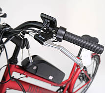 Електровелосипед Discovery COMPASS (26" 36V 500W, 13000Ah) 2024р, фото 5