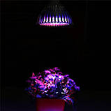 Світлодіодна фітолампа VENOM PS-21 для рослин Е27 21 Вт, фото 5