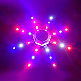 Світлодіодний фітосвітильник VENOM 12 Вт 220 V 1500 Lm (PS-12), фото 2