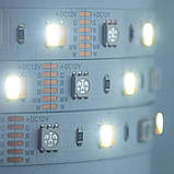Світлодіодна стрічка Mi-Light SMD5050 RGB+WW+CW (RGB+CCT) LED Strip IP20 5 м., фото 3