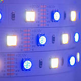 Світлодіодна стрічка Mi-Light SMD5050 RGB+WW+CW (RGB+CCT) LED Strip IP20 5 м., фото 5