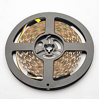 Світлодіодна стрічка Mi-Light SMD5050 Dual White LED Strip негерметична (IP20) Premium