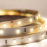 Світлодіодна стрічка Mi-Light SMD2835 60д.м. надяскрава монохромна LED Strip негерметична (IP20) 1200 Lm/m 5 м., фото 5