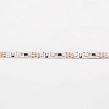 Світлодіодна стрічка Venom Smart SMD 5050 60 д.м. (IP65) Standart RGB, фото 3