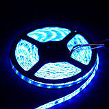 Світлодіодна стрічка Venom Smart SMD 5050 60 д.м. (IP65) Standart RGB, фото 5