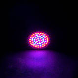 Світлодіодна фітолампа Venom 5W SMD2835 220 В (FL-P-002-5), фото 2