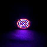 Світлодіодна фітолампа Venom 7 W SMD2835 220 В (FL-P-003-7), фото 2