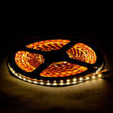 Світлодіодна стрічка Venom SMD3528 120д.м. 5 мм (IP20) Standart нейтрально-біла Нейтрально-білий, фото 2