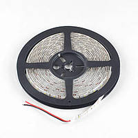 SMD 3528 Super Brightness