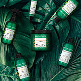 Маска для Сухого Пошкодженого волосся 4в1 Eugene Perma Professionnel Paris Collections Nature Nutrition 250 мл, 500 мл, фото 4