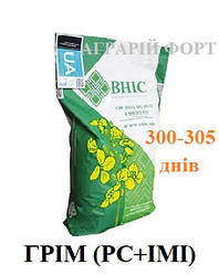 Насіння ріпаку озимого, гібрид Грім (раундап+євролайтинг). Високоврожайний озимий ріпак Грім. ВНІС