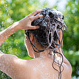 Шампунь для Щоденного догляду Eugene Perma Professionnel Paris Collections Nature Quotidien 300 мл, 1000 мл, фото 4