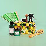 Шампунь для Щоденного догляду Eugene Perma Professionnel Paris Collections Nature Quotidien 300 мл, 1000 мл, фото 5