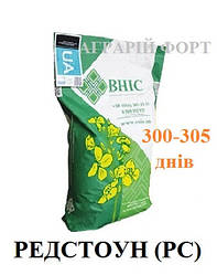 Насіння ріпаку озимого, гібрид Редстоун (раундап). Високоврожайний озимий ріпак Редстоун. ВНІС