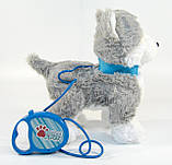 М'яка іграшка Собачка Хаскі Кращий друг PL 8201 на повідку гавкає ходить виляє хвостом, фото 4