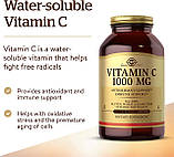 Solgar, вітамін C, 1000 мг, 250 капсул, фото 3