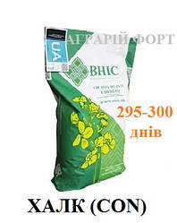 Насіння ріпаку озимого, гібрид Халк (класік). Високоврожайний озимий ріпак Халк. ВНІС