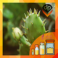 Ароматизатор Liquid Labor Mexican Cactus Мексиканський кактус