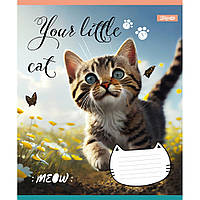 Тетрадь школьная 1Вересня Your little cat 24 листов линия, 20 шт/уп.