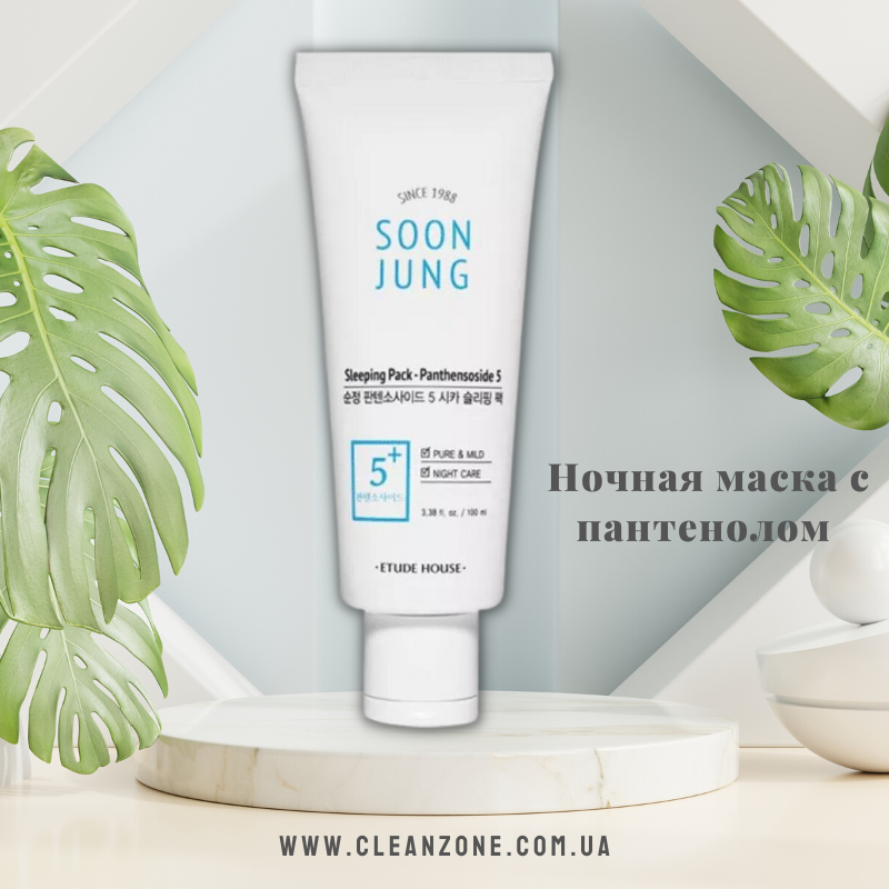 Нічна маска з пантенолом для чутливої шкіри Etude House Soon Jung Sleeping Pack Panthensoside 5, фото 1