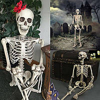 Большая модель скелета RESTEQ 180 см. Детализированная фигурка скелета. Анатомический скелет человека