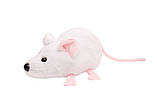 М'яка іграшка Мишка біла 22 см, фото 2
