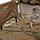 Футболка CM Chiton Patrol Multicam XL, фото 9