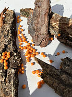 Хрустящие шоколадные шарики апельсиновые 5 мм Norte-Eurocao 100 грамм (Испания)
