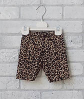 Леопардовые шорты - трессы детские опт, трикотажные велосипкедки бриджи для девочки р.28 30 32 34 36 38 40