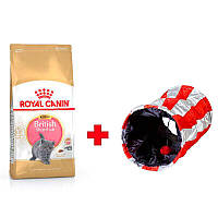 Акция! Корм для котят ROYAL CANIN KITTEN BRITISH SHORTHAIR 2.0 кг + тоннель в подарок!