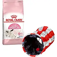 Акция! Сухой корм для котят Royal Canin Mother & Babycat 2 кг + Подарок туннель-игрушка.