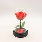 Троянда у колбі з LED підсвічуванням 15,5х5,5 см, A54 Червона із зеленим / Вічна троянда у скляній колбі, фото 4