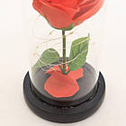 Троянда у колбі з LED підсвічуванням 15,5х5,5 см, A54 Червона із зеленим / Вічна троянда у скляній колбі, фото 7
