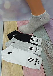 Шкарпетки підліткові Sport 0101s () короткі стрейч різні кольори р.35-40 (уп.12 пар)